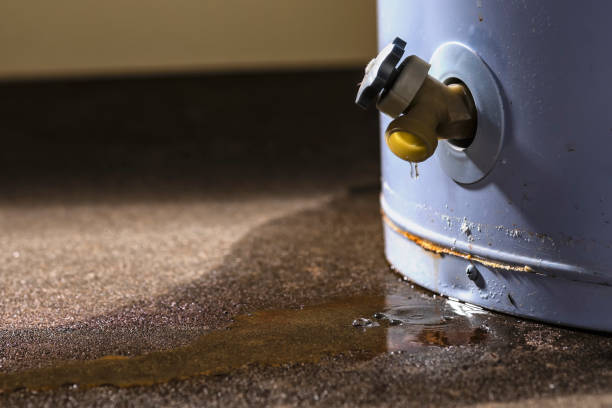 Best Mold removal after water damage  in Sac City, IA