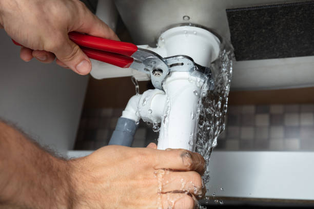 Best Flooded house restoration  in Sac City, IA