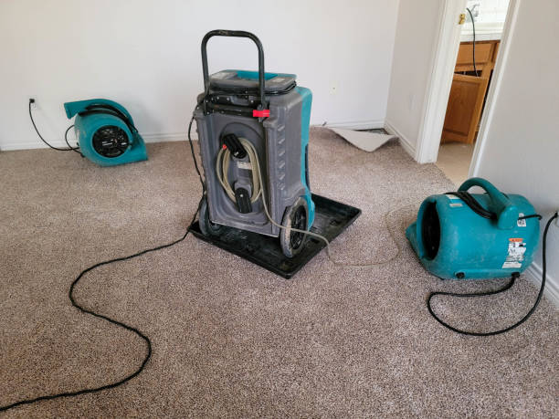 Best Commercial water damage restoration  in Sac City, IA