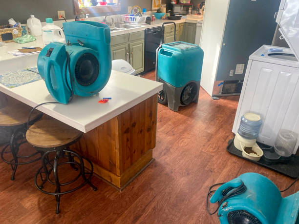 Best Water damage contractors near me  in Sac City, IA