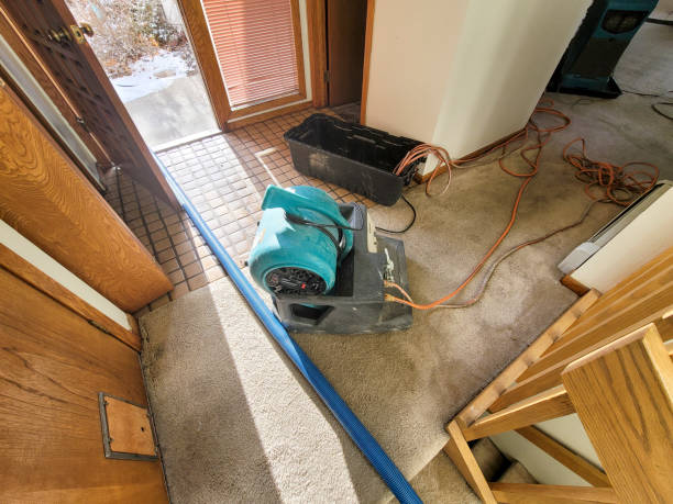 Best Residential water damage restoration  in Sac City, IA
