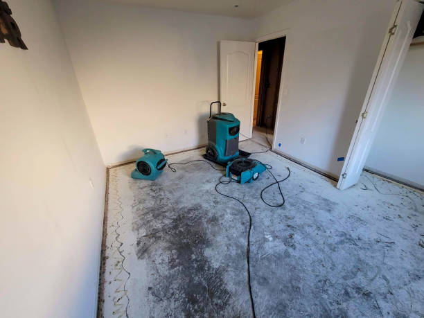 Best Flooded house restoration  in Sac City, IA