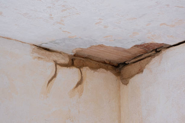 Best Water damage cleanup near me  in Sac City, IA