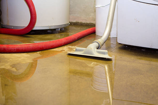 Best Sewage cleanup and water damage restoration  in Sac City, IA