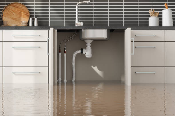 Best Water damage cleanup near me  in Sac City, IA