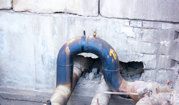 Best Flood damage cleanup  in Sac City, IA