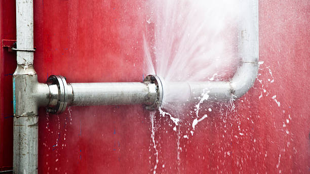 Best Flood damage cleanup  in Sac City, IA