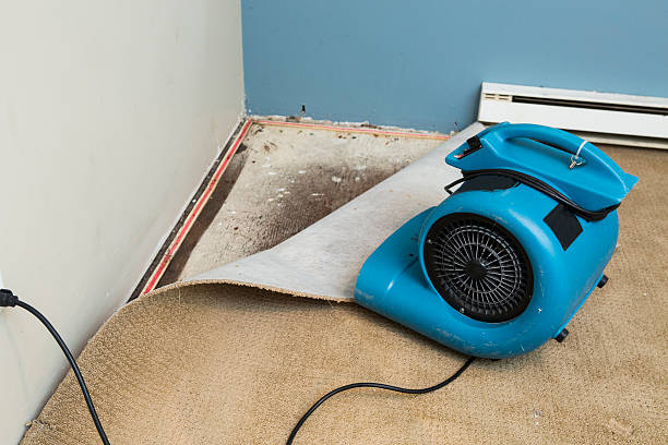  Sac City, IA Water damage restoration Pros