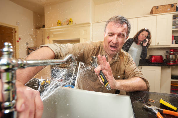 Best Fire Damage Restoration  in Sac City, IA